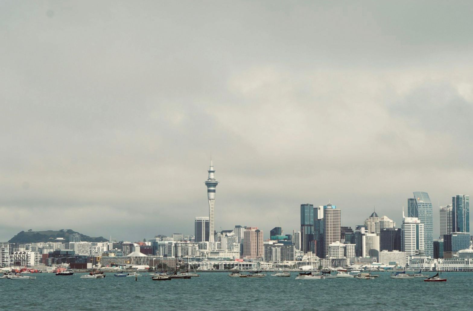 Auckland skyline and harbour seen from the water